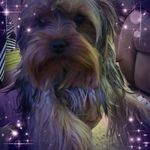 Inez Zoe Balogh - @inezzoebalogh - Instagram