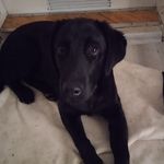 Zoé Balogh - @zoebalogh57 - Instagram