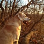 Zoe Bauer - Facebook