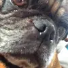 Zoe Becker - @zoebecker1 - TikTok