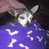 ZoeyBenton20 - @aliciabenton6 - TikTok
