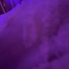 Zoe Blanchard - @zoe.blanchard6 - TikTok