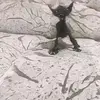 Zoeyyy❤️ - @zoey.boyer - TikTok