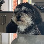 Zoe Brady - @geor.getheshipoo - Instagram