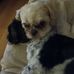 Zoe Brady - Facebook