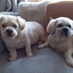 Zoe Brady Cameron - @zoebrady7718 - Instagram