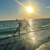 Zoe Brock - @yurfavz0e - TikTok