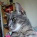 Zoe Cahill - Facebook