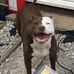 Zoe Carr - Facebook