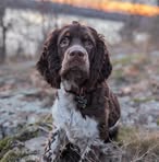 Zoe Carson - Facebook