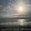zoecrooks11 - @zoecrooks11 - TikTok