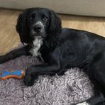 Zoe Curtis - Facebook