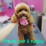 Zoe Ferry - @ferrazoe79 - Instagram