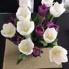 zoefitzpatrick05 - @zoefitzpatrick05 - TikTok