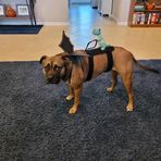 Zoey Gamble - Facebook