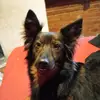Zoe Juarez - @zoe.juarez104 - TikTok