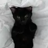 zoekeller - @zoekellerr - TikTok