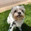 Zoe Kempf - @zoekempf - TikTok
