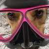 Its..Zoe..mk? - @zoekessler0 - TikTok