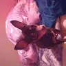 Zoe Florette - @zoeflorette - TikTok