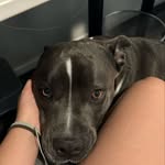 @zoe.loving_life - Instagram