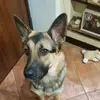 Zoe #loving_zoe - @zoe.loving_zoe - TikTok