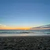 zoeloving - @zoe.loving - TikTok
