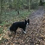 Zoe Lowery - @zlowery1975 - Instagram