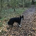 Zoe Lowery - Facebook