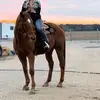 Zoebug07 - @zoelowery07 - TikTok