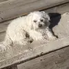 zoelund - @_zoelund_ - TikTok