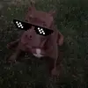 zoe? - @zoelux.x - TikTok
