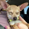 Zoe Malcolm - @zoe.malcolm3 - TikTok