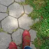 zoe_syntacticsugar - @zoemalcolm5 - TikTok
