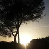 zoe - @zoemalcolm05 - TikTok
