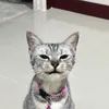 MarcusGutierrezOEdK - @marcusgutierrezoe - TikTok