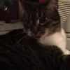 zoemarks5 - @zoe.marks8 - TikTok