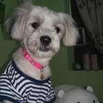 Marr Zoe - Facebook