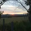 Zo - @zoeomaynard29 - TikTok