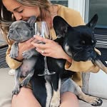 Zoe and Hudson McDaniel - @frenchies_zoe_hudson_mcd - Instagram