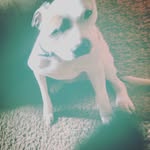 Zoe Meier - @ladaaceadwaac6730 - Instagram