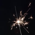 Zoe Meier - @z_meiers_photographyx - Instagram