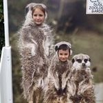 zoe morse - @zoe_morse - Instagram
