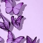 Zoe Murillo - Facebook