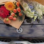 Zoe Ogden - @sharonunderwood424oiq - Instagram