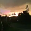 Zoe - @zoe.oliver1 - TikTok