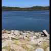 zoe.oliver579 - @zoe.oliver579 - TikTok