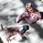 Zoë Olson - @zoekolson - Instagram