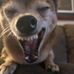 Zoey Olson - Facebook