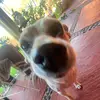 Zoe Olvera - @zoe.olvera1 - TikTok
